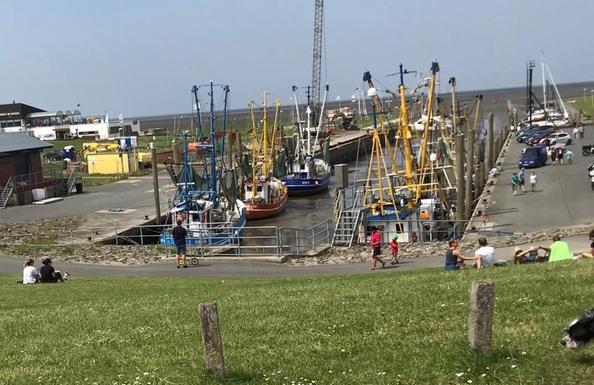 Ferienhaus Helder Dorumer Neufeld Bagian luar foto